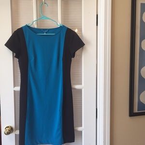 NWT Derek Lam dress